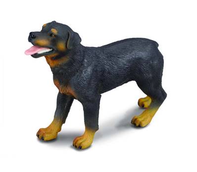 Figurine Collecta 88189 - Chien Rottweiler - Taille L - Figurines des Animaux