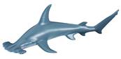 Figurine Collecta 88045 - Requin Marteau - Taille M - Figurines Collecta des Animaux Aquatiques