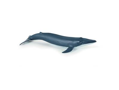 Figurine Bébé baleine bleue - Figurines des Animaux Marins - Papo 56041