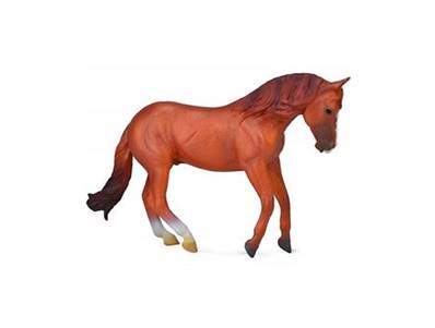 Figurine Collecta 88712 - Etalon Stock Horse Australien - Taille XL – Collecta Figurine des Chevaux