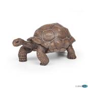 Figurine Tortue des Galapagos - Figurines des Animaux Marins - Papo 50161