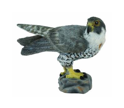 Figurine Collecta 88399 - Faucon Pèlerin - Taille S - Figurines des Oiseaux
