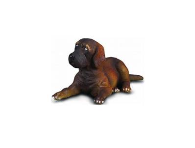 Figurine Collecta 88065 - Chiot Grand Danois - Taille S - Figurines Collecta de Chiens