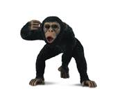 Figurine Collecta 88492 - Chimpanzé - Taille M - Figurines de la Jungle
