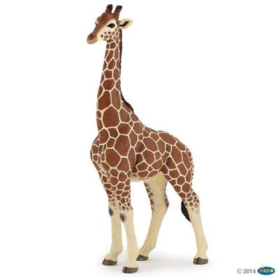 Figurine Girafe mâle - Figurines des Animaux Sauvages - Papo 50149