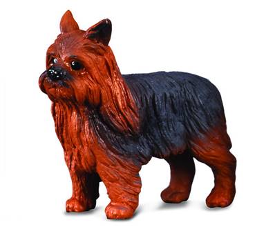 Figurine Collecta 88078 - Yorkshire Terrier - Taille S - Collection des Chiens Collecta