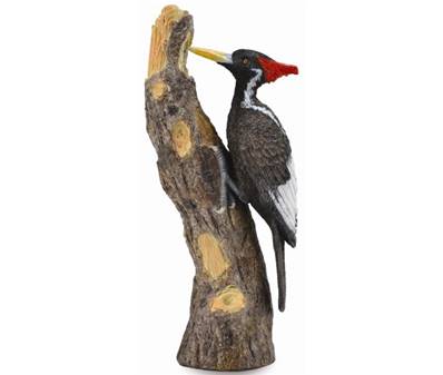Figurine Collecta 88802 - Oiseau Pic à Bec - Taille L - Figurines des Oiseaux