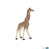 Figurine Girafon - Figurines des Animaux Sauvages - Papo 50100