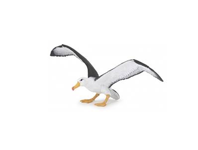 Figurine Albatros - Oiseau Marin - Papo 56038