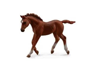 Figurine Collecta 88670 - Poulain Pur Sang - Taille M – Collecta Figurine des Chevaux