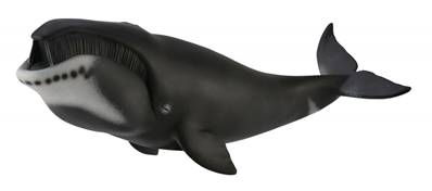 Figurine Collecta 88652 - Baleine Boréale - Taille XL - Animaux Marins Collecta