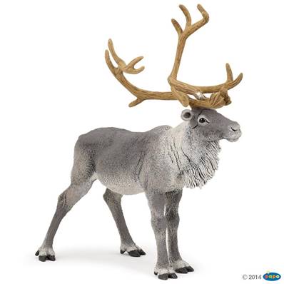 Figurine Renne Caribou - Figurines des Animaux de la forêt - Papo 50117