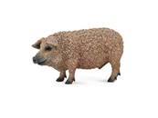 Figurine Collecta 88674 - Porc laineux