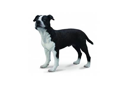 Figurine Collecta 88610 - American Staffordshire Terrier - Taille L - Chien de chez Collecta