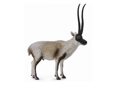 Figurine Collecta 88721 - Antilope du Tibet - Taille L - Figurines des Animaux du Tibet