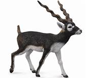 Figurine Collecta 88638 - Antilope Cervicapre