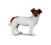 Figurine Collecta 88080 - Jack Russell Terrier - Taille S - Figurines Collecta de la Collection Chiens