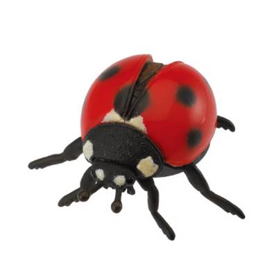 Figurine Collecta 88474 - Coccinelle - Taille M - Collecta les Insectes
