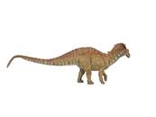 Figurine Dinosaure Amargasaurus - Figurines Préhistoire et Dinosaures -Papo 55070