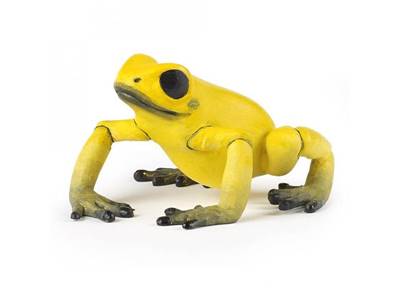 Figurine Grenouille Equatoriale jaune - Figurines des Animaux Sauvages - Papo 50174