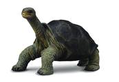 Figurine Collecta 88619 - Tortue Galapagos - Taille M - Animaux Sauvages Collecta