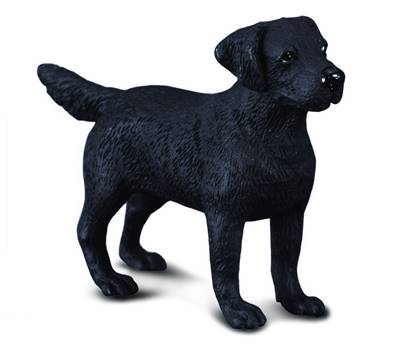 Figurine Collecta 88076 - Chien Labrador Retriever - Taille M - Collecta Collection des Chiens